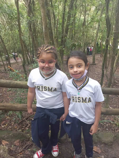 Bicho Mania 2022
